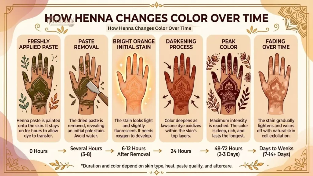 How Henna Changes Color Over Time